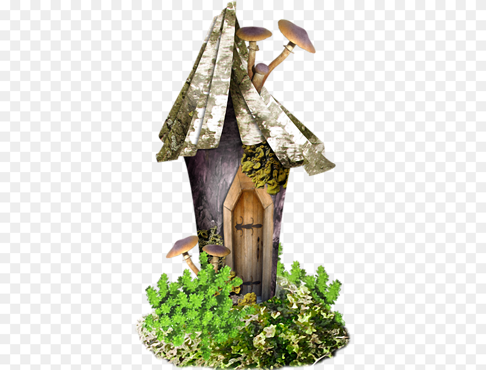 Fairy House, Plant, Fungus, Potted Plant, Outdoors Png Image