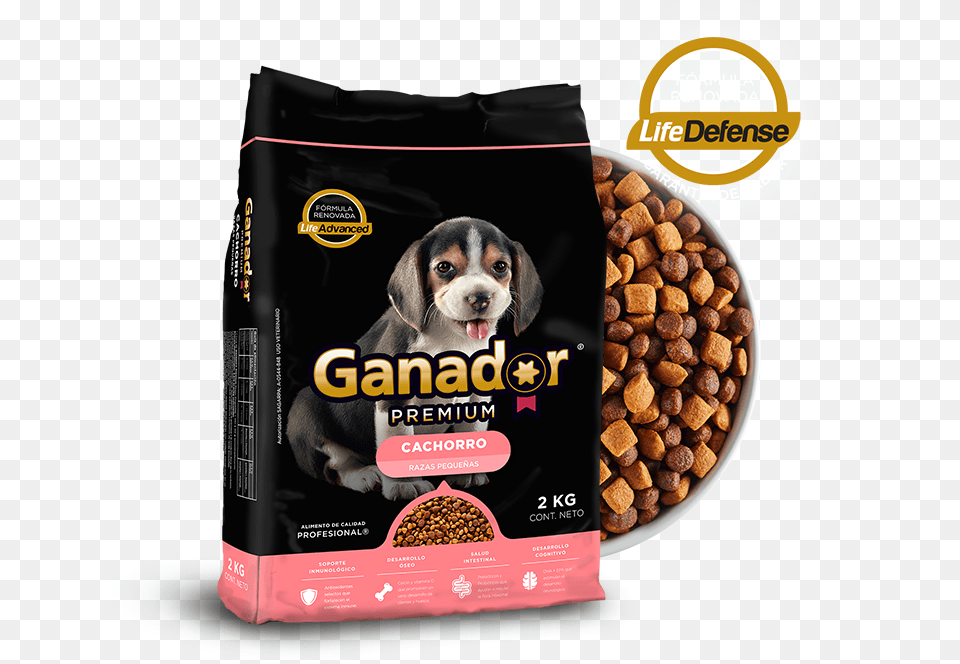 Ganador, Animal, Canine, Dog, Mammal Free Png