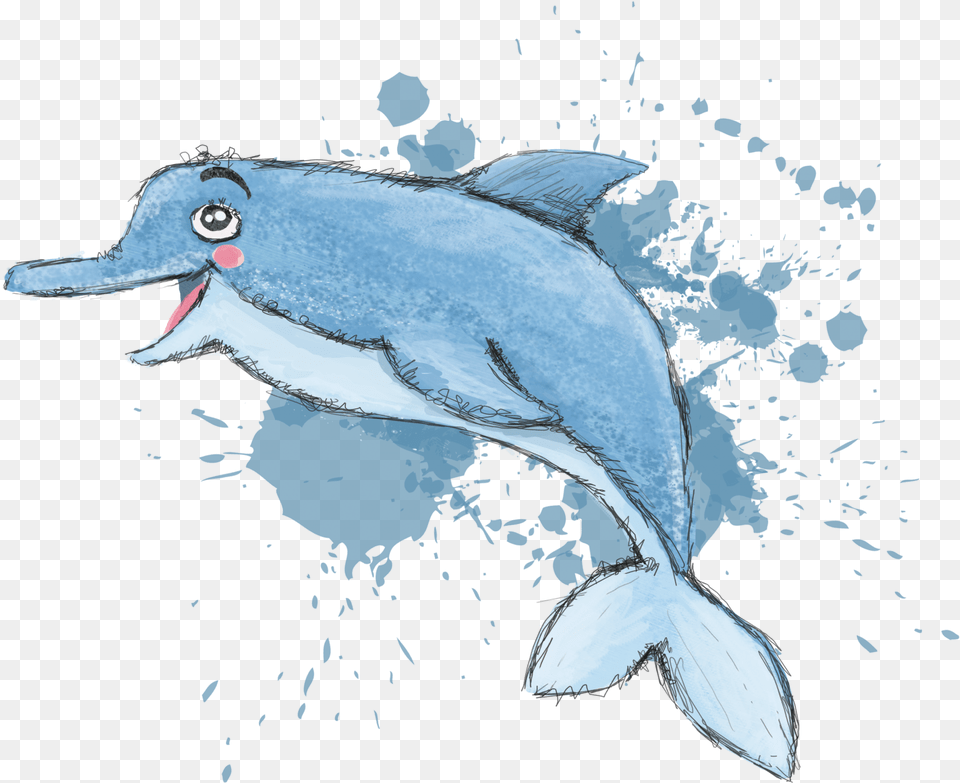 Dolphin, Animal, Mammal, Sea Life, Bird Png