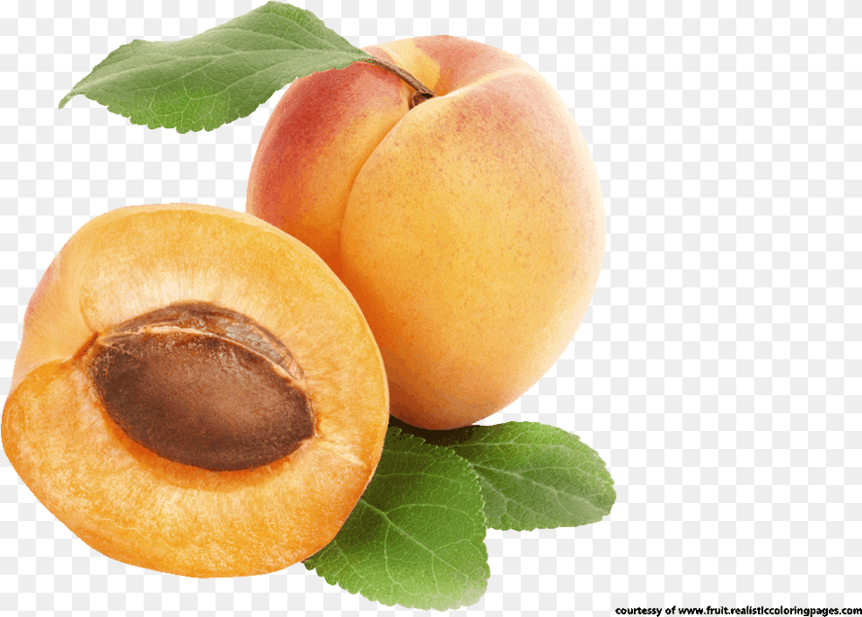 7 Apricot Royalty Clipart Fruit Names, Food, Plant, Produce, Pear Png