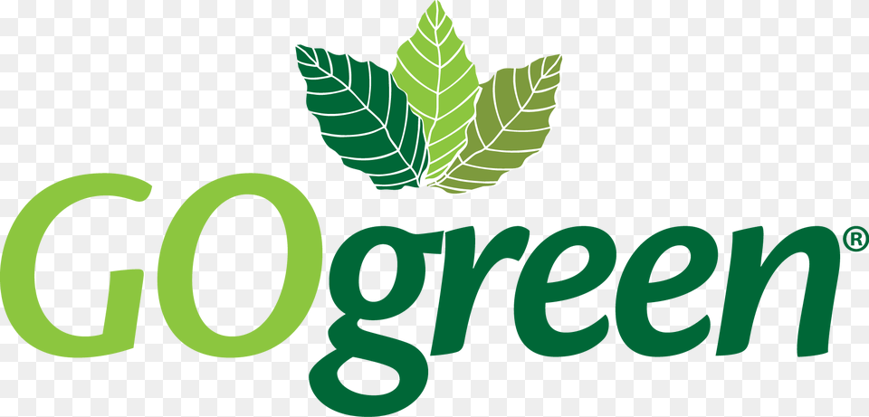 Go Green, Leaf, Plant, Herbs, Mint Png