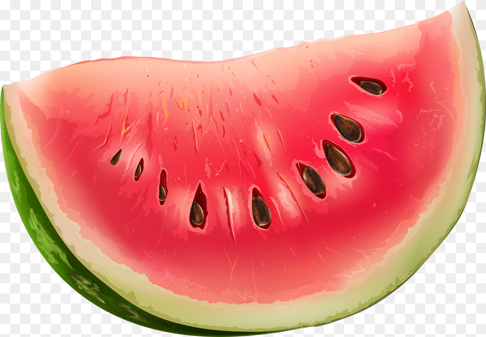 Cucumber Slice Free Transparent Png