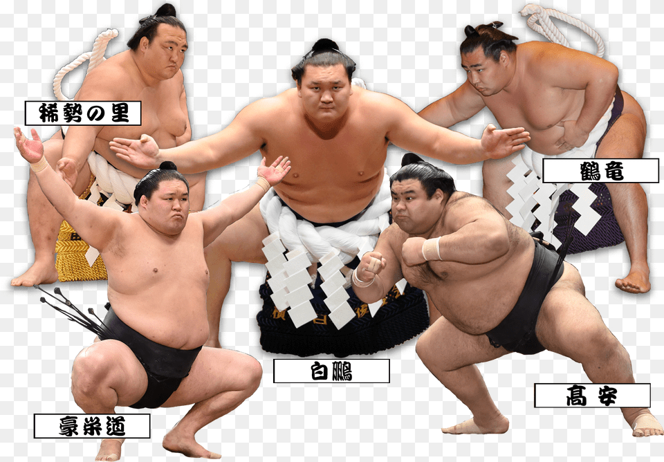 Sumo Wrestler, Wrestling, Sport, Person, Man Free Transparent Png
