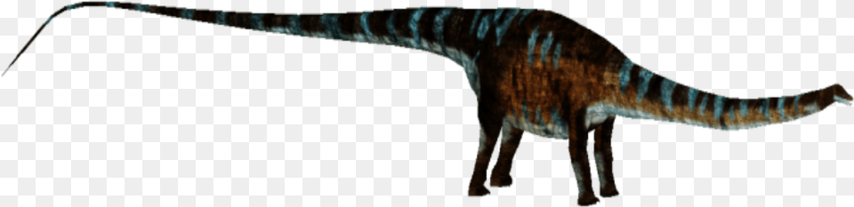 Diplodocus, Animal, Dinosaur, Reptile, T-rex Free Png Download