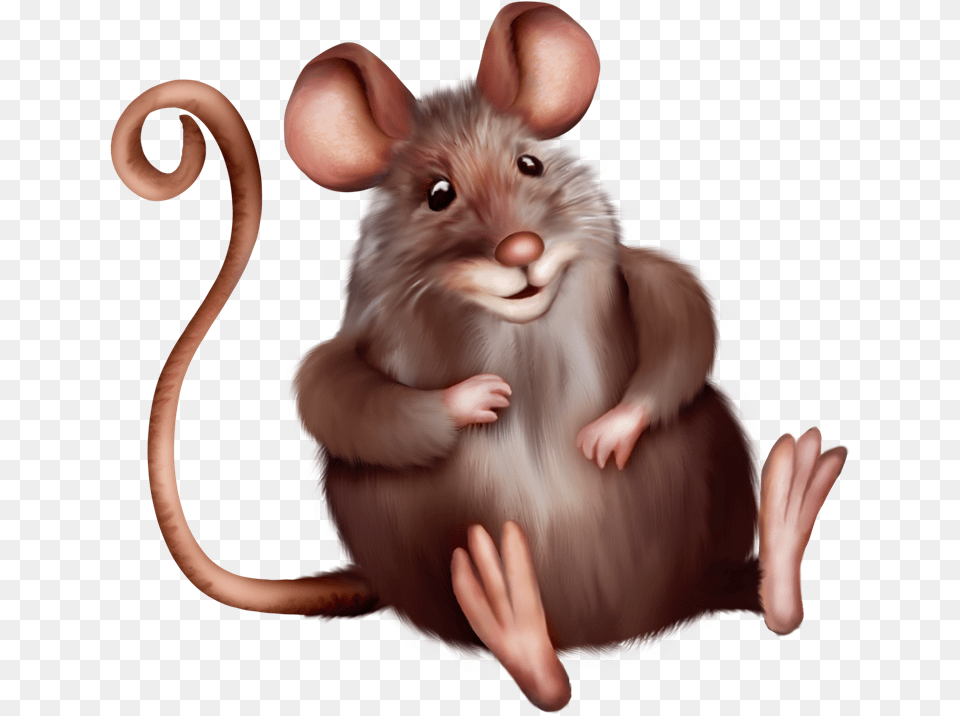 Anime Santa Hat, Animal, Mammal, Rodent, Rat Png