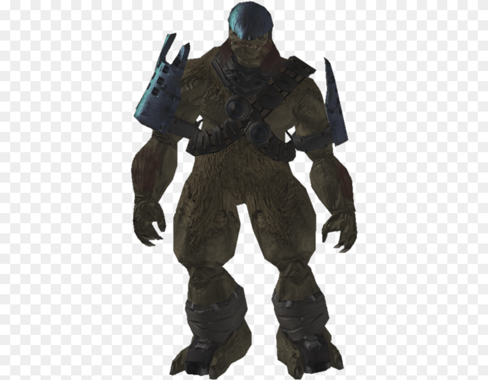 Halo, Adult, Male, Man, Person Png Image