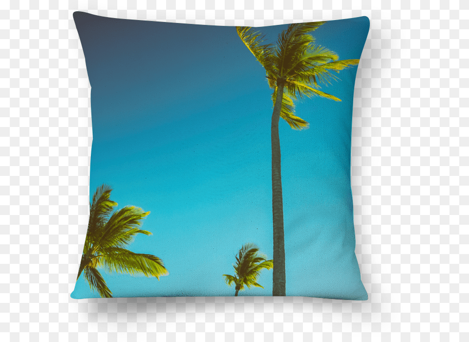 Coqueiro, Cushion, Summer, Tropical, Outdoors Free Png Download