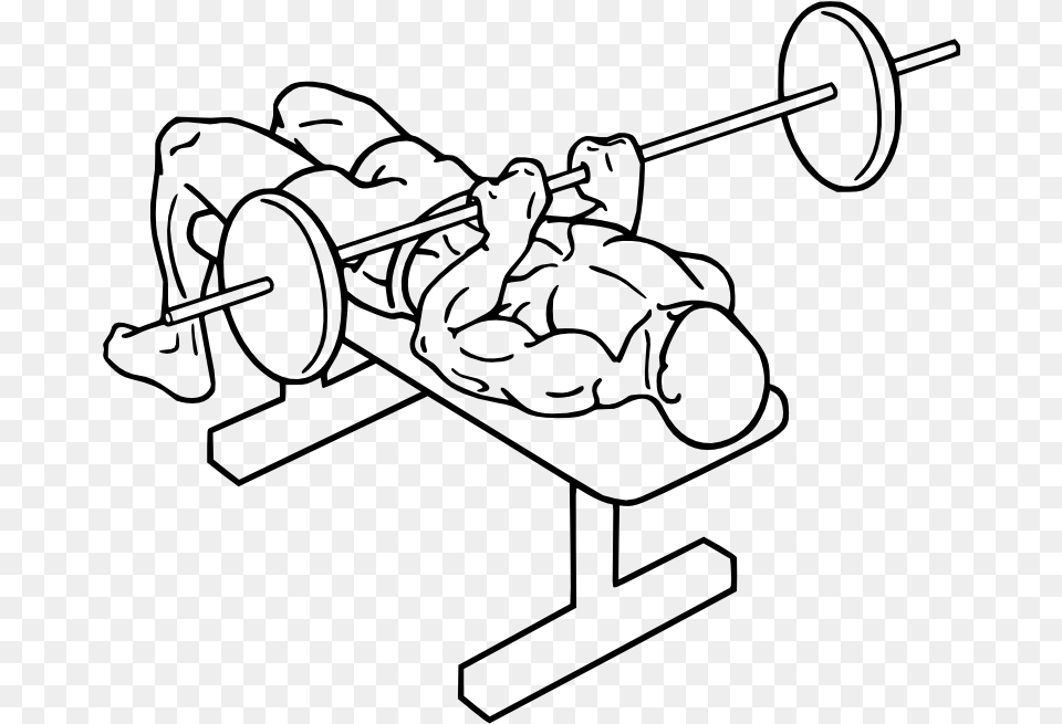 Bench Press, Gray Free Png Download