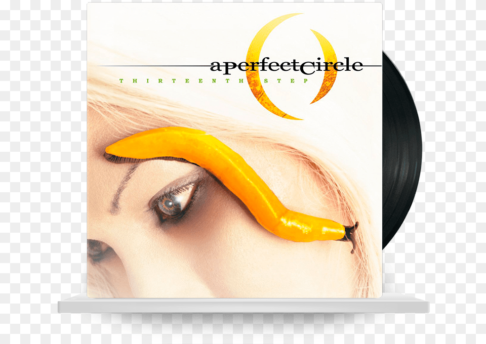 Perfect Circle, Adult, Female, Person, Woman Free Transparent Png