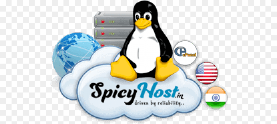 Linux, Animal, Bird, Penguin Free Png