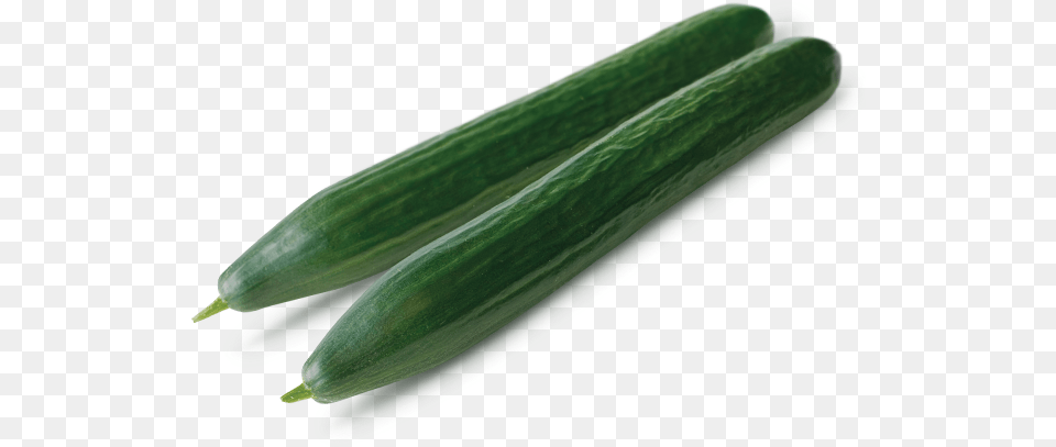 Pepino, Cucumber, Food, Plant, Produce Png Image