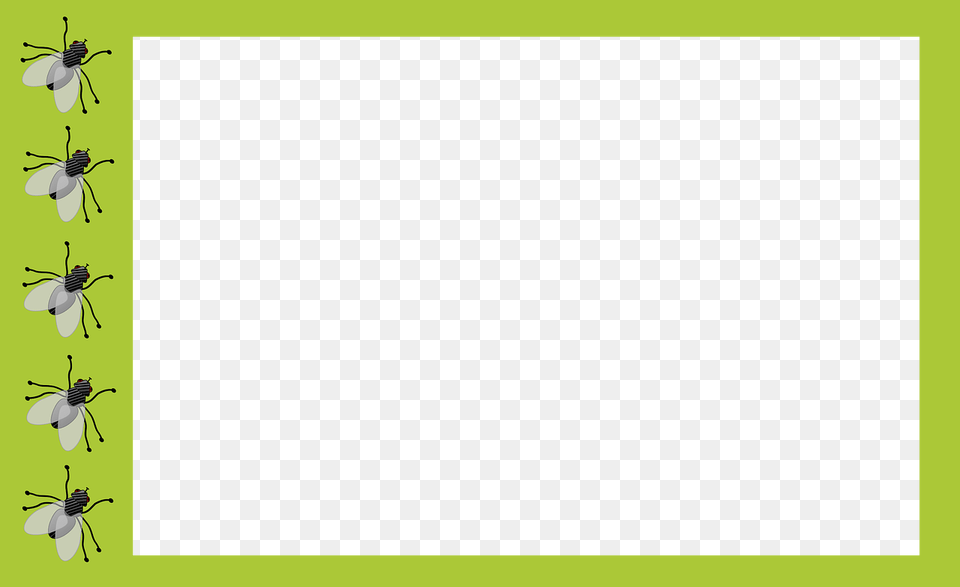 Green Frame, Animal, Insect, Invertebrate Free Png Download