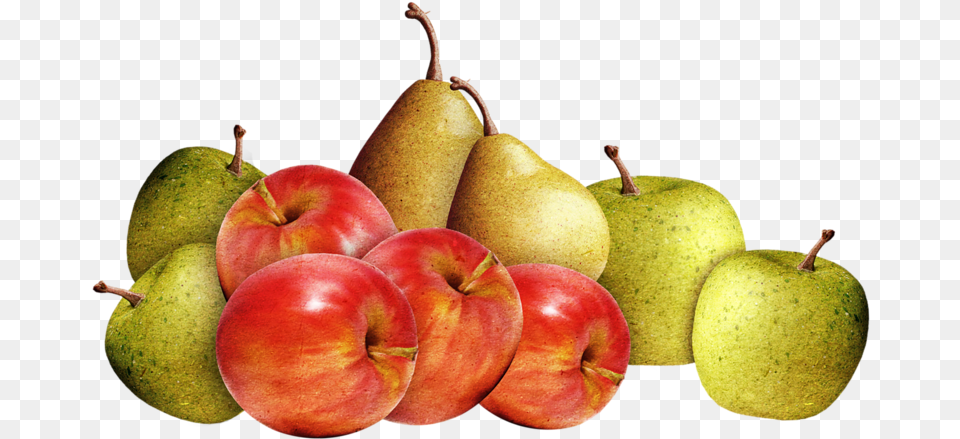 770e2 5b8e17a4 Xl Yabloko Grusha, Apple, Food, Fruit, Plant Free Png Download