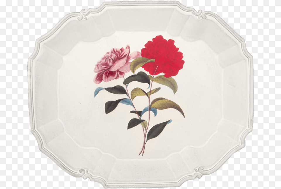 Platter, Pottery, Art, Porcelain, Plant Png Image
