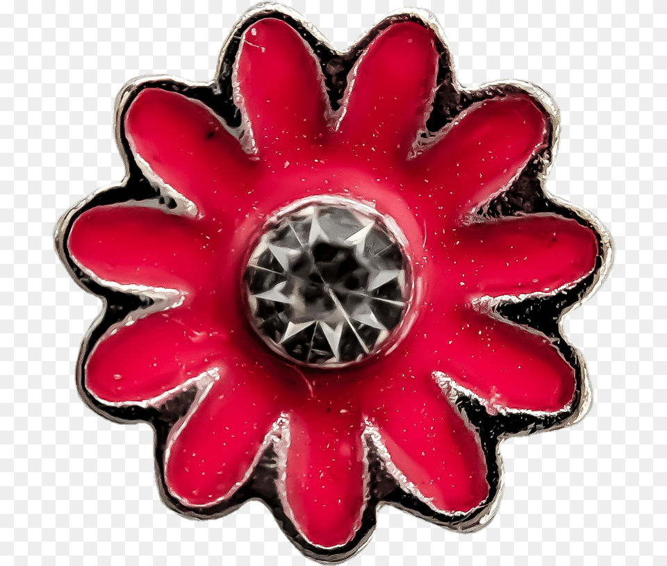 Pink Daisy, Accessories, Jewelry, Dahlia, Flower Png Image