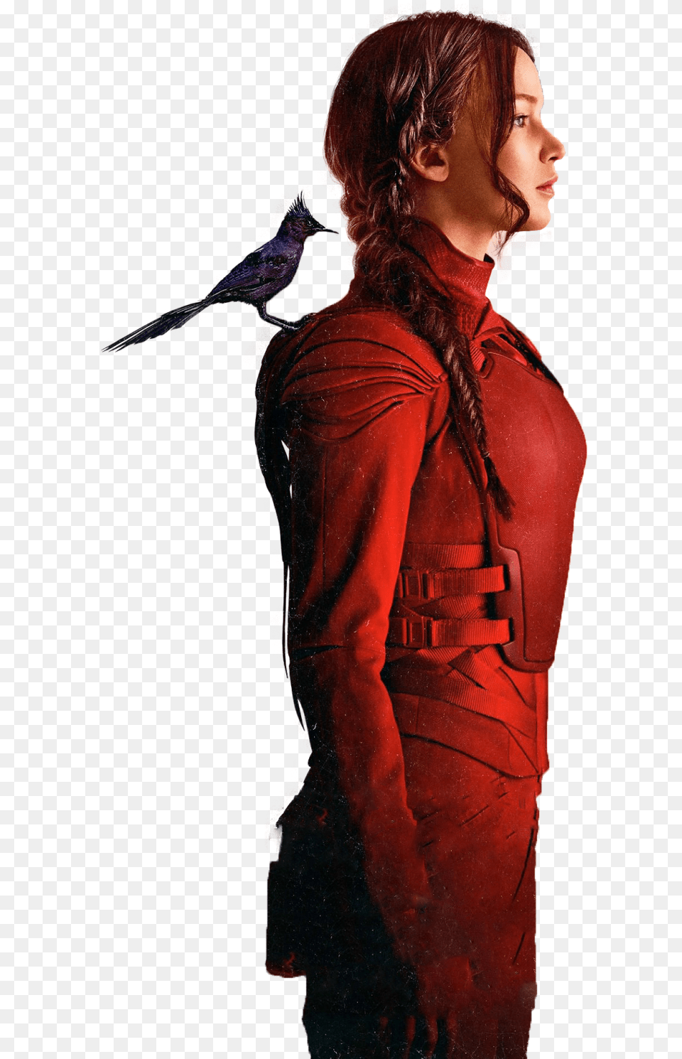 Katniss Everdeen, Sleeve, Clothing, Coat, Long Sleeve Free Png Download