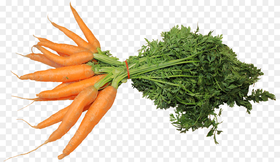 Zanahoria, Carrot, Food, Plant, Produce Free Png