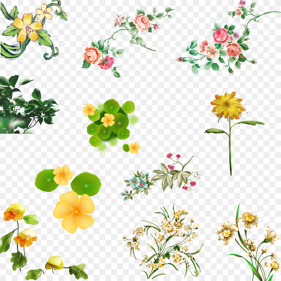 Zendu Flower, Graphics, Art, Floral Design, Plant Free Png