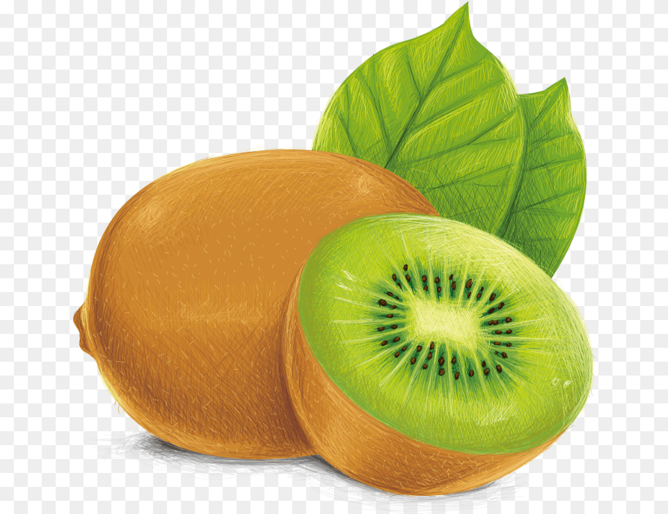 Kiwi Fruit, Food, Plant, Produce Png