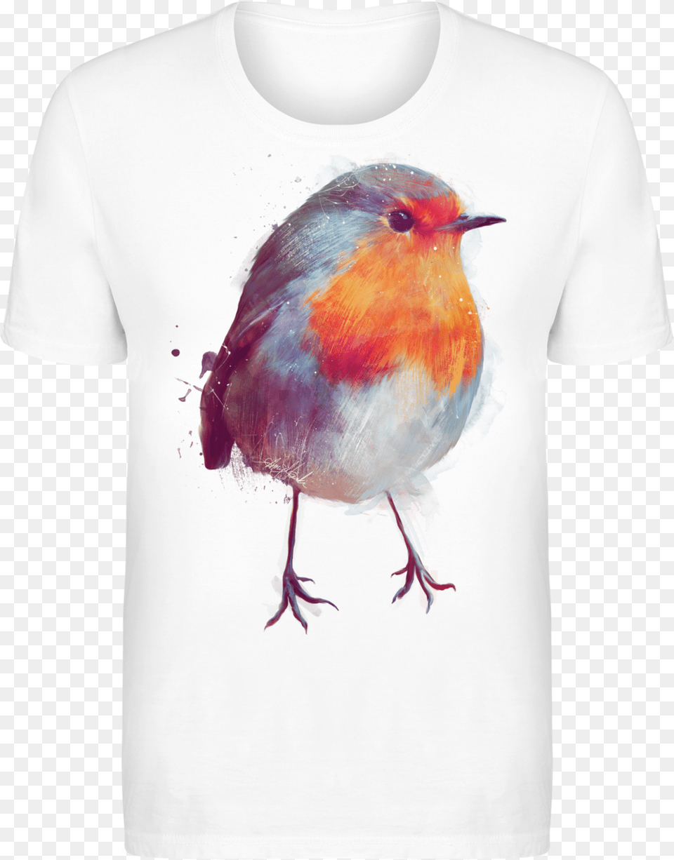 Robin Bird, Clothing, T-shirt, Animal Free Transparent Png