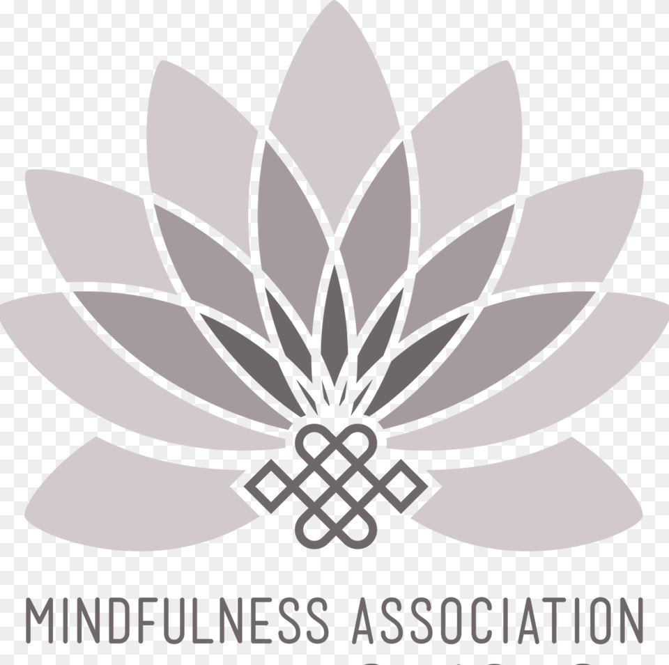 8 Week Mindfulness Based Living Course, Flower, Dahlia, Plant, Pattern Png