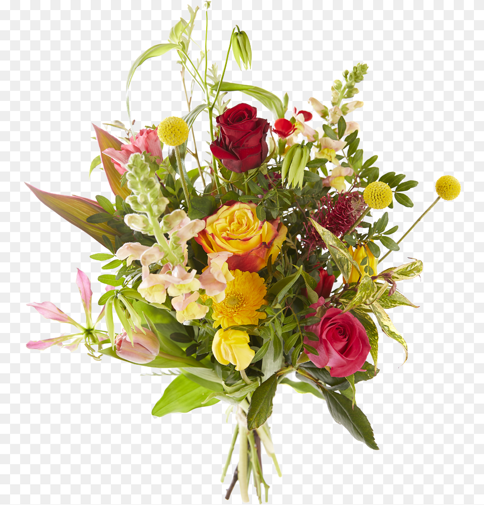 Valentine Single Roses, Art, Floral Design, Flower, Flower Arrangement Free Png Download