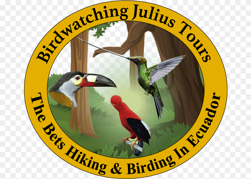 Pajaros, Animal, Beak, Bird, Logo Png Image