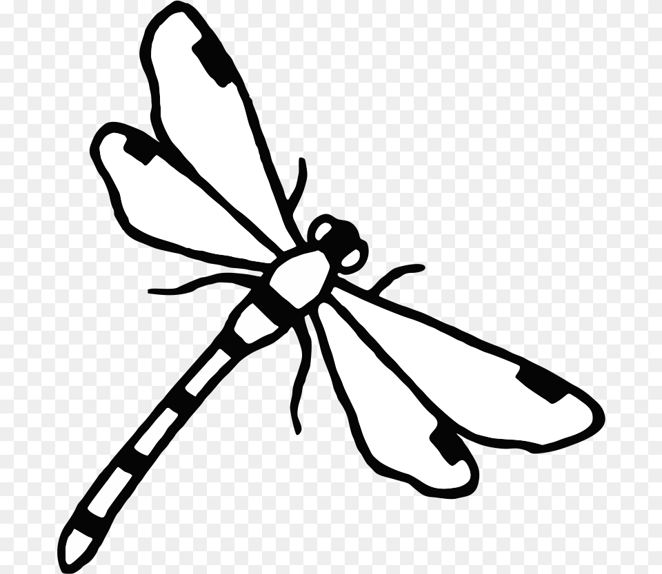 Dragonfly Silhouette, Animal, Insect, Invertebrate, Kangaroo Free Transparent Png