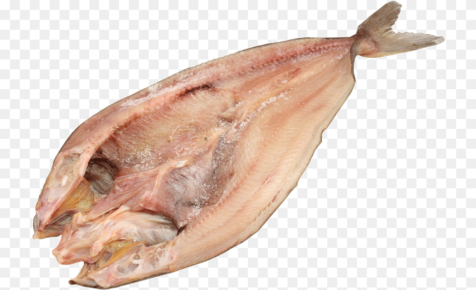 Fish Meat, Animal, Sea Life, Halibut Free Png
