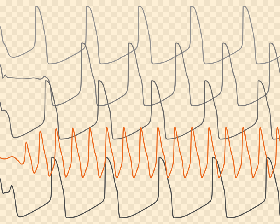 Brains, Text Free Png Download