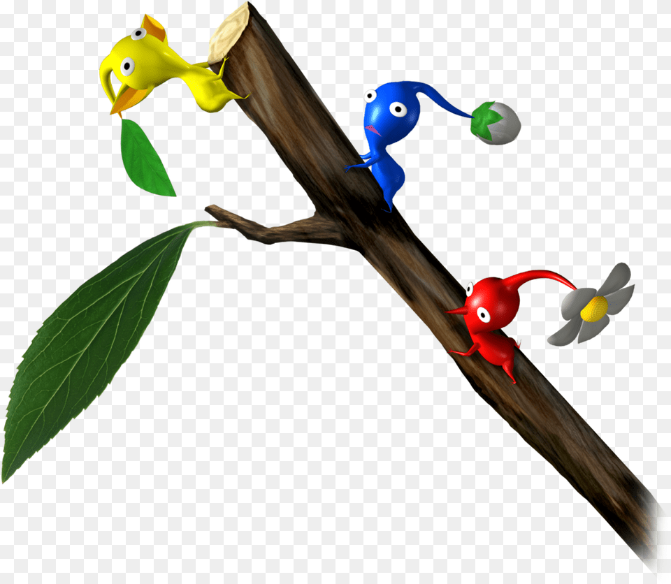 Climbing, Animal, Bird Png