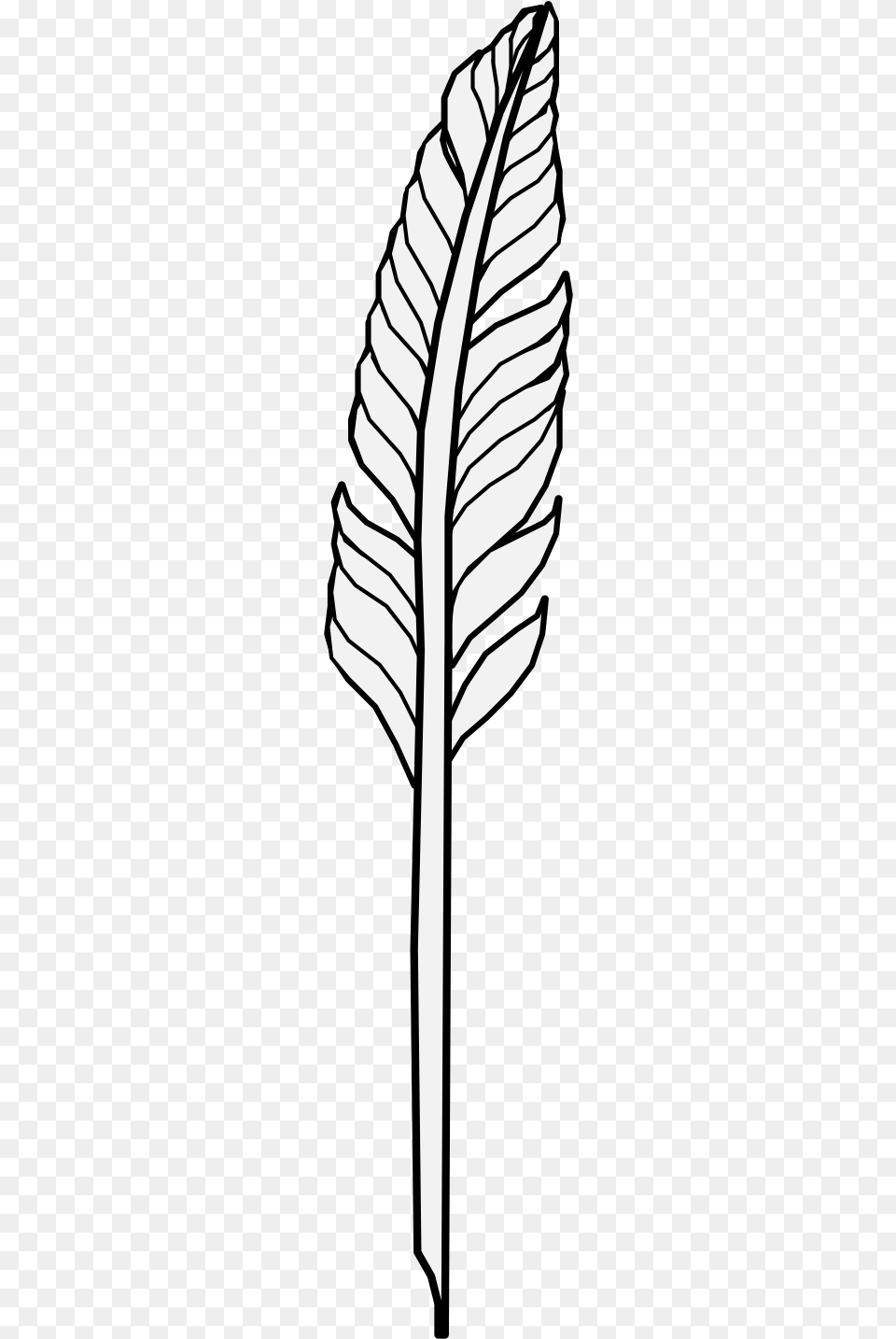 Quill Pen, Leaf, Plant, Art Png Image