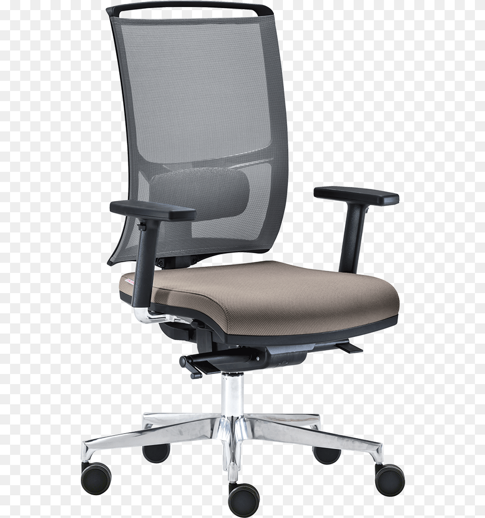 Zed, Chair, Cushion, Furniture, Home Decor Png Image