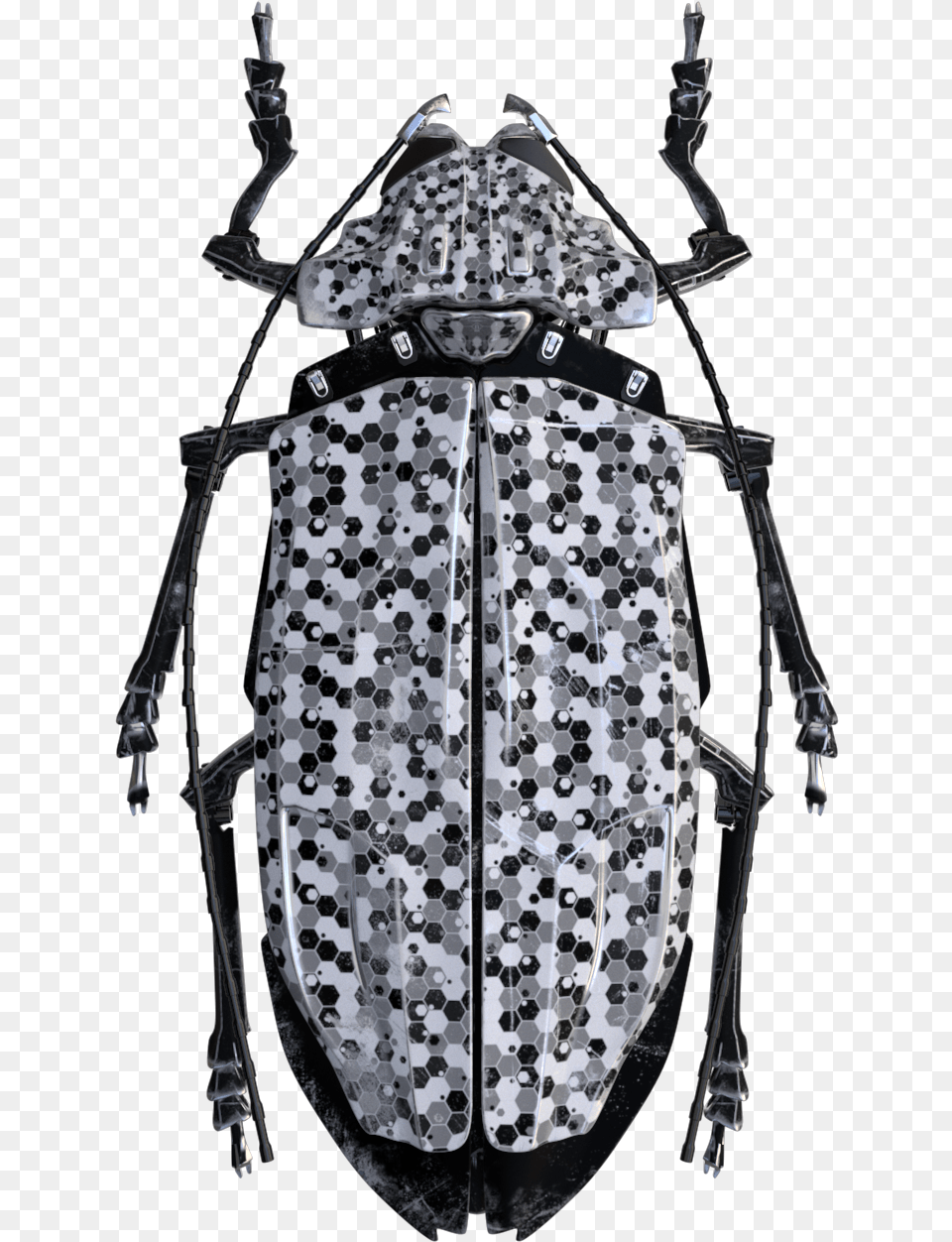 Beetle, Accessories, Animal, Jewelry, Necklace Png Image