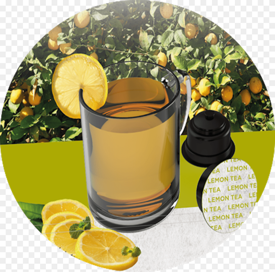 Lemon Tea, Citrus Fruit, Food, Fruit, Plant Free Png Download