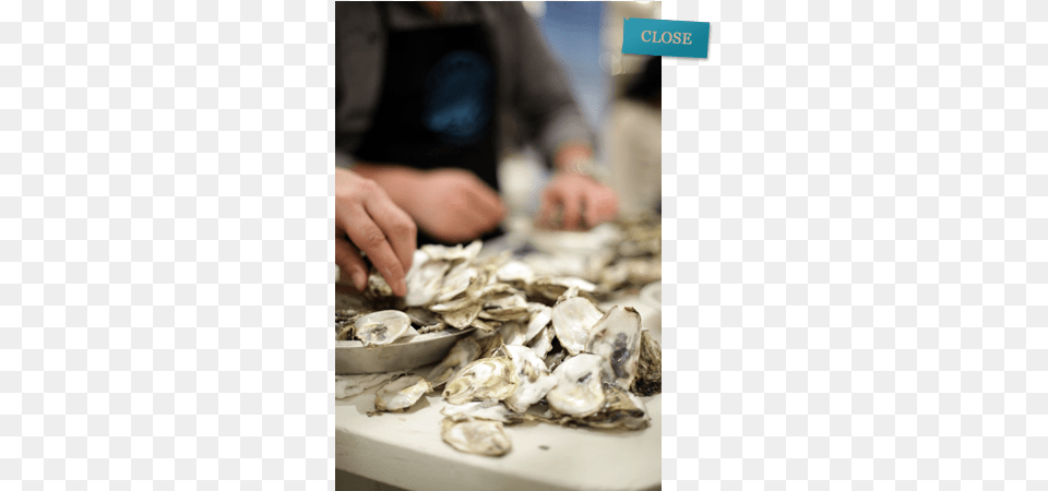 Oysters, Adult, Seafood, Person, Man Free Transparent Png