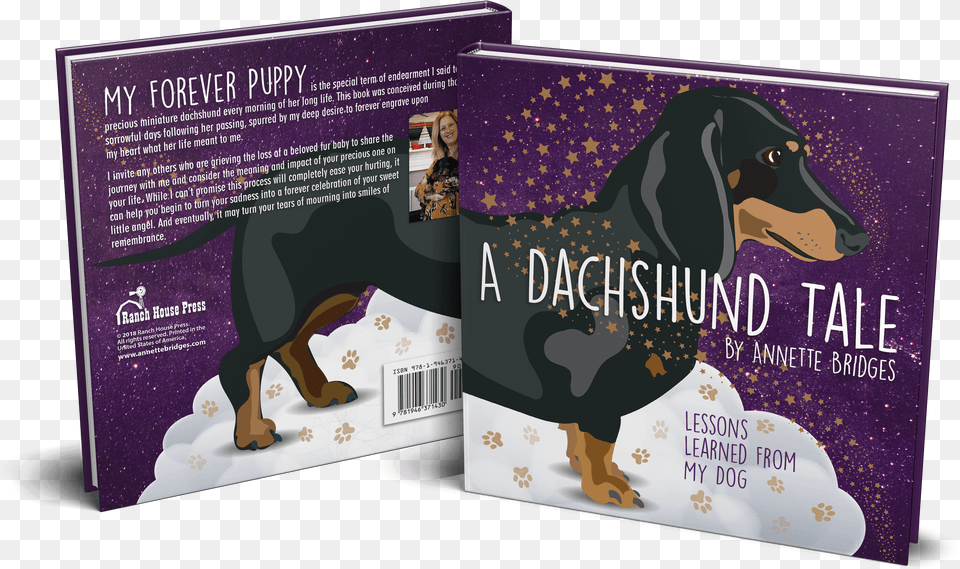 Dachshund, Advertisement, Poster, Person, Mail Free Png Download