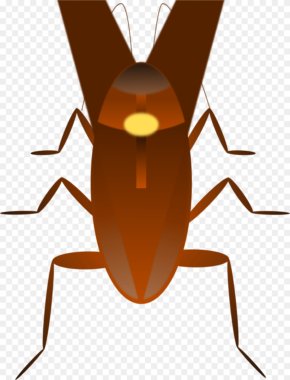 Cockroach, Animal Png Image