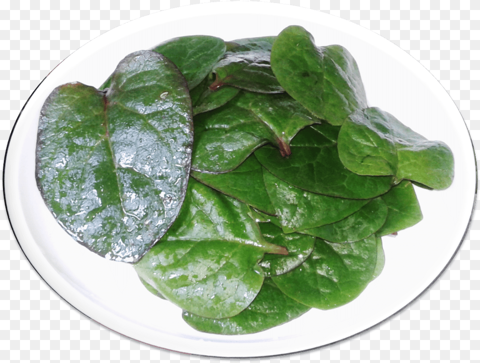 Paan Leaf, Plant, Plate, Food, Leafy Green Vegetable Free Transparent Png