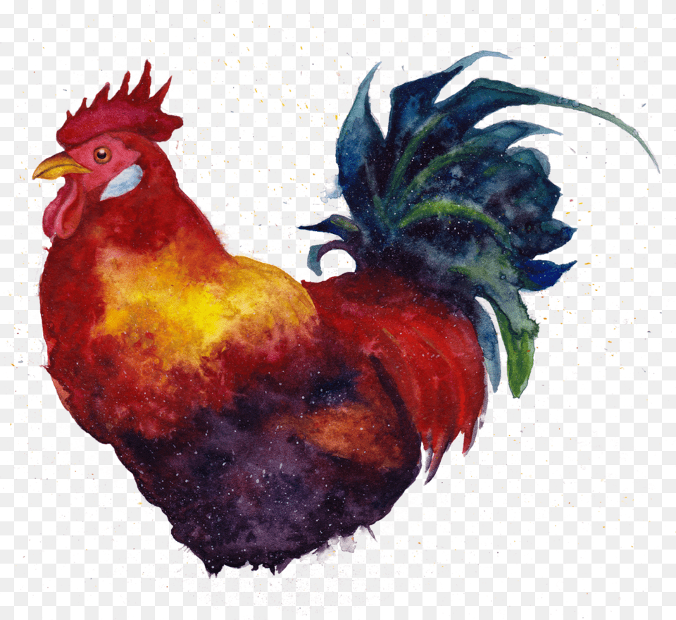 Chicken, Animal, Bird, Fowl, Poultry Png Image