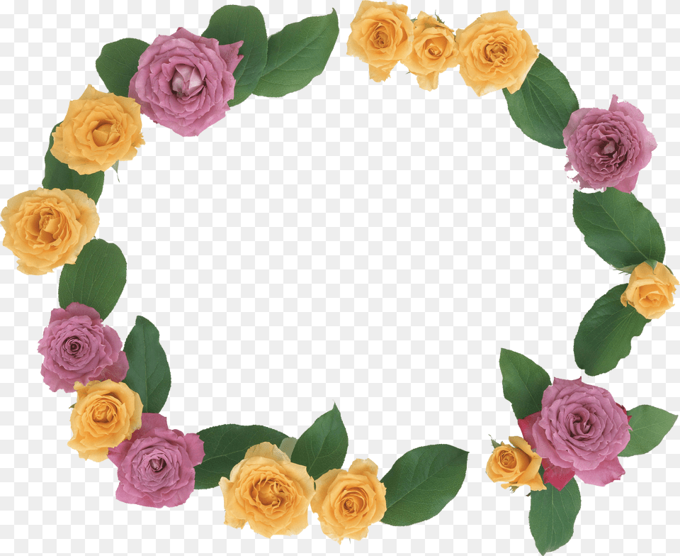 Ramas, Flower, Plant, Rose, Flower Arrangement Free Png Download