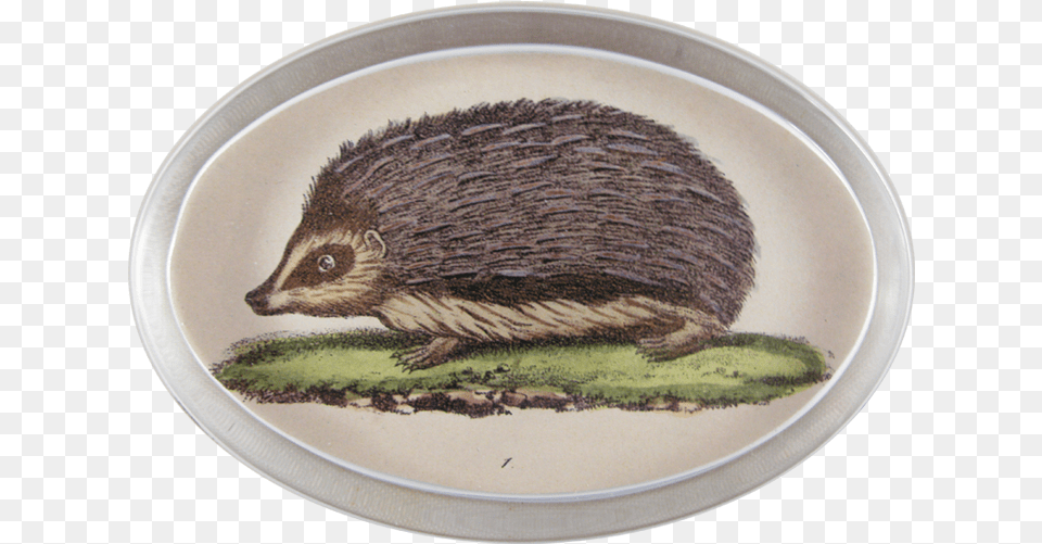 Hedgehog, Plate, Animal, Bird, Mammal Free Transparent Png