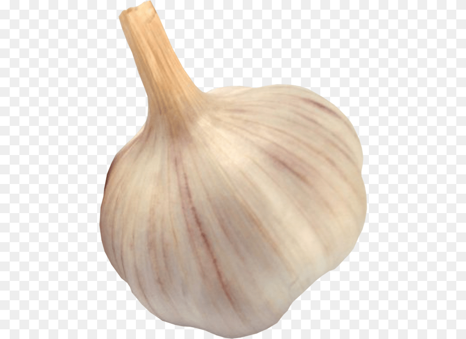 Garlic, Food, Produce, Plant, Vegetable Free Png Download