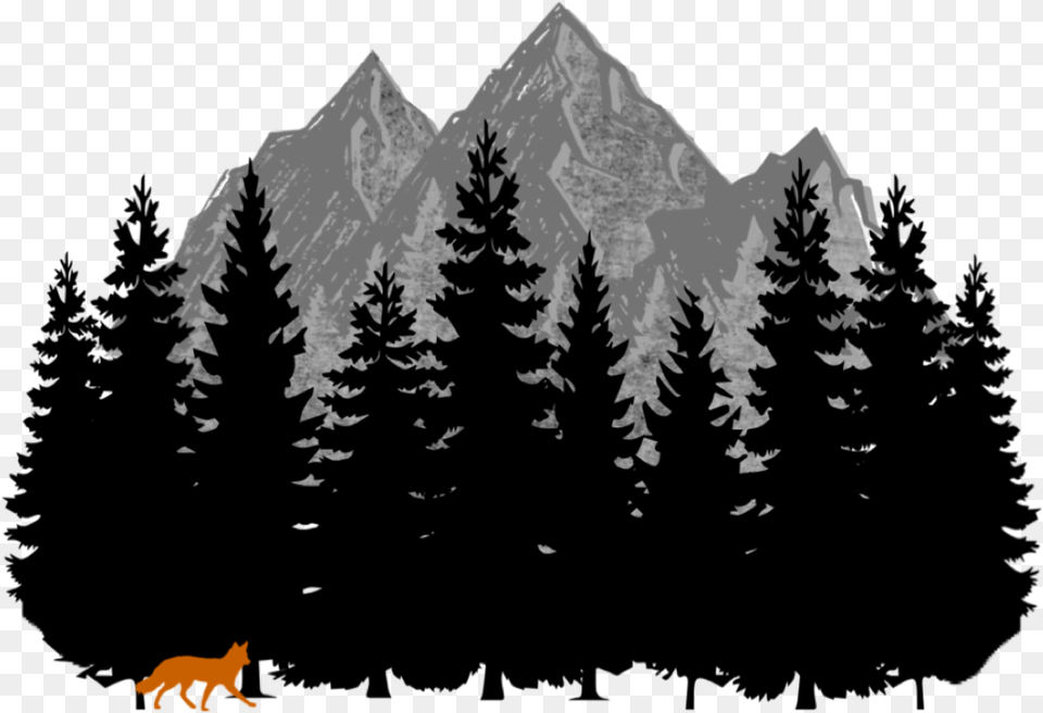 8a88 429a 9746, Tree, Fir, Plant, Pine Png Image