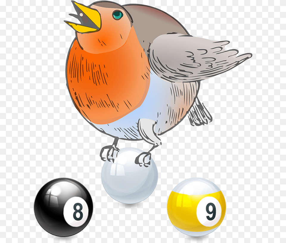 9 Ball Advanced Tournaments Round Robin, Sphere, Animal, Bird Free Png Download