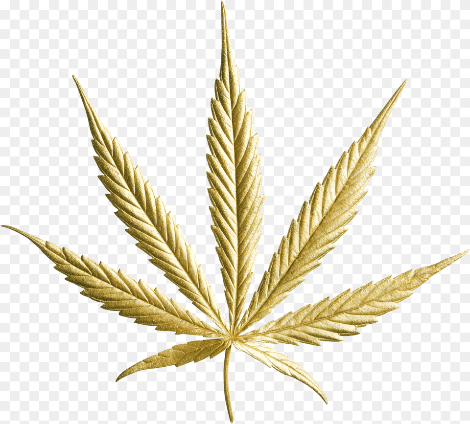 9 Gold Cannabis Leaf, Plant Free Png