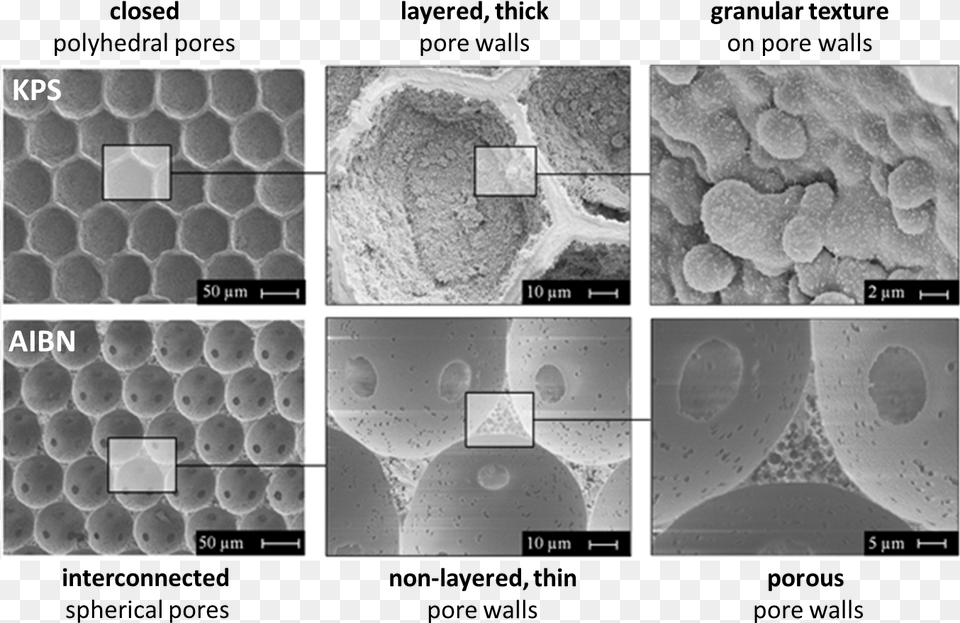 Honeycomb Texture, Adult, Bride, Female, Person Free Png