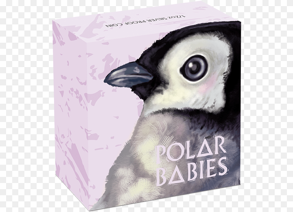 Emperor Penguin, Book, Publication, Animal, Bird Free Transparent Png