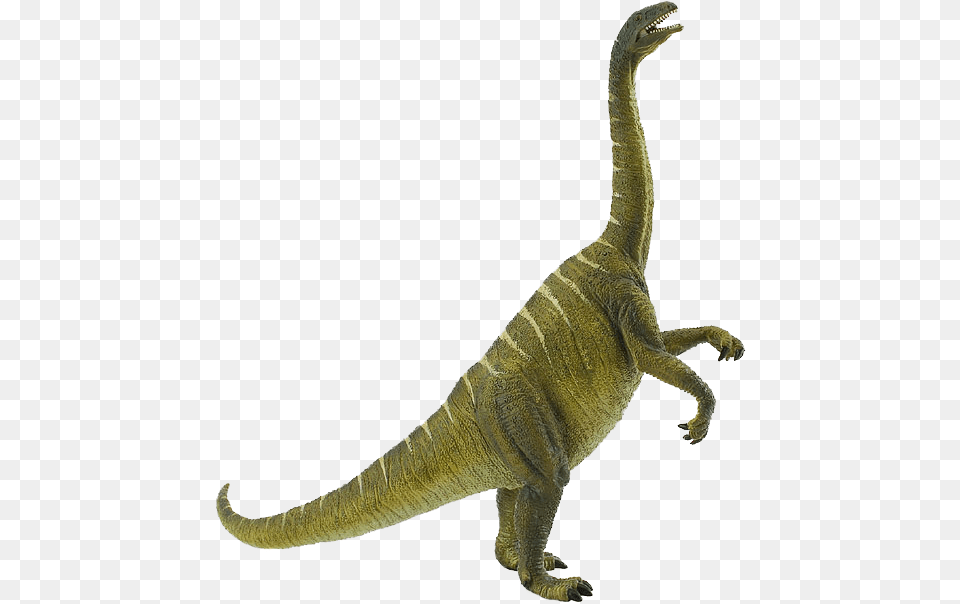 Spinosaurus, Animal, Dinosaur, Reptile, T-rex Png