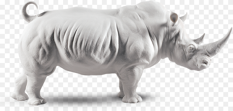 Hype, Animal, Mammal, Pig, Rhino Png